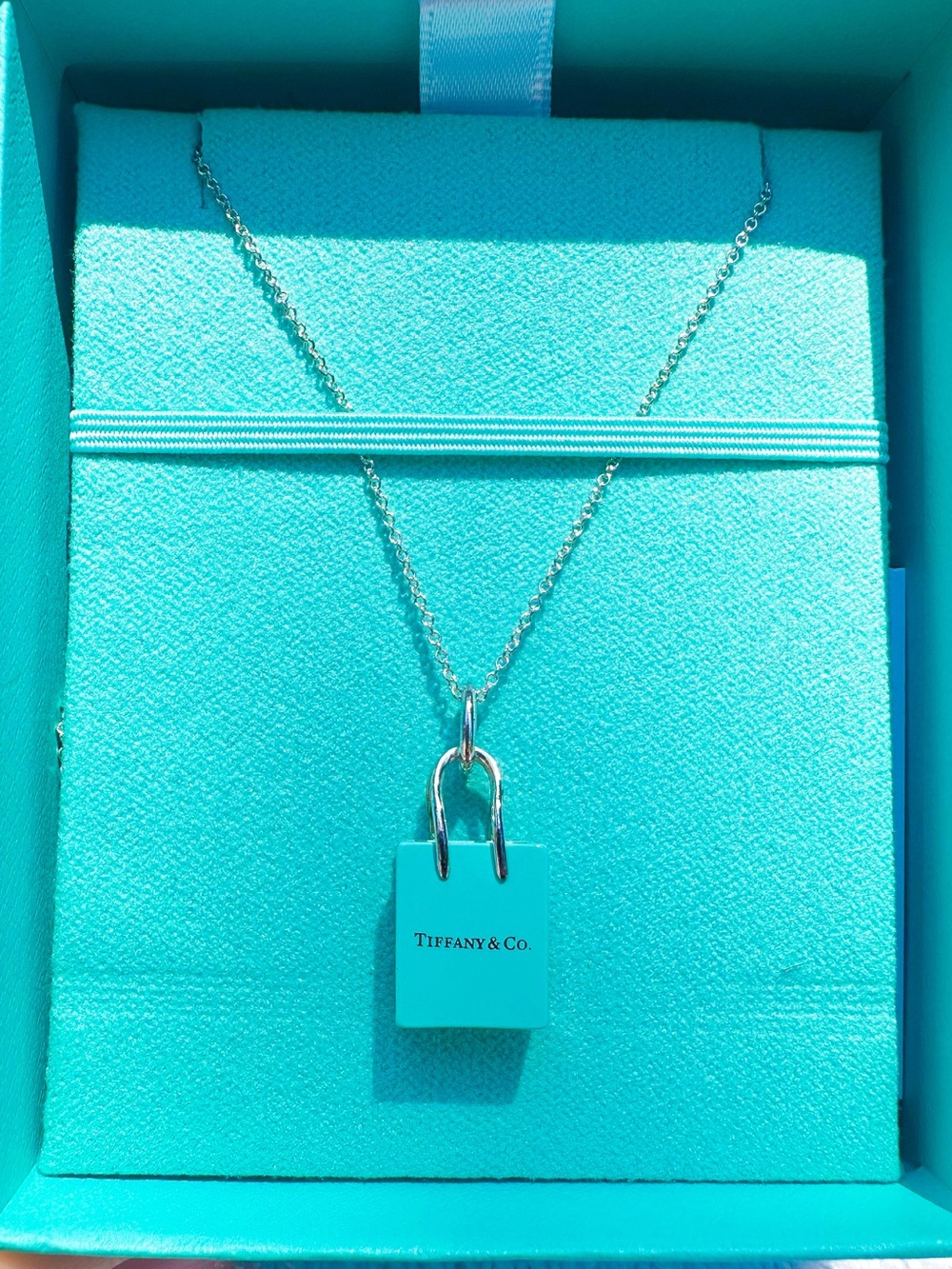 Tiffany & Co Purse Charm Necklace - Picture 1 of 7